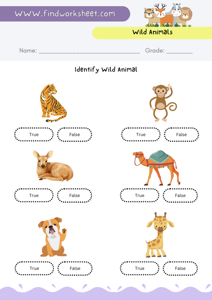 Wild Animals Worksheet - 5 ( Colored version )