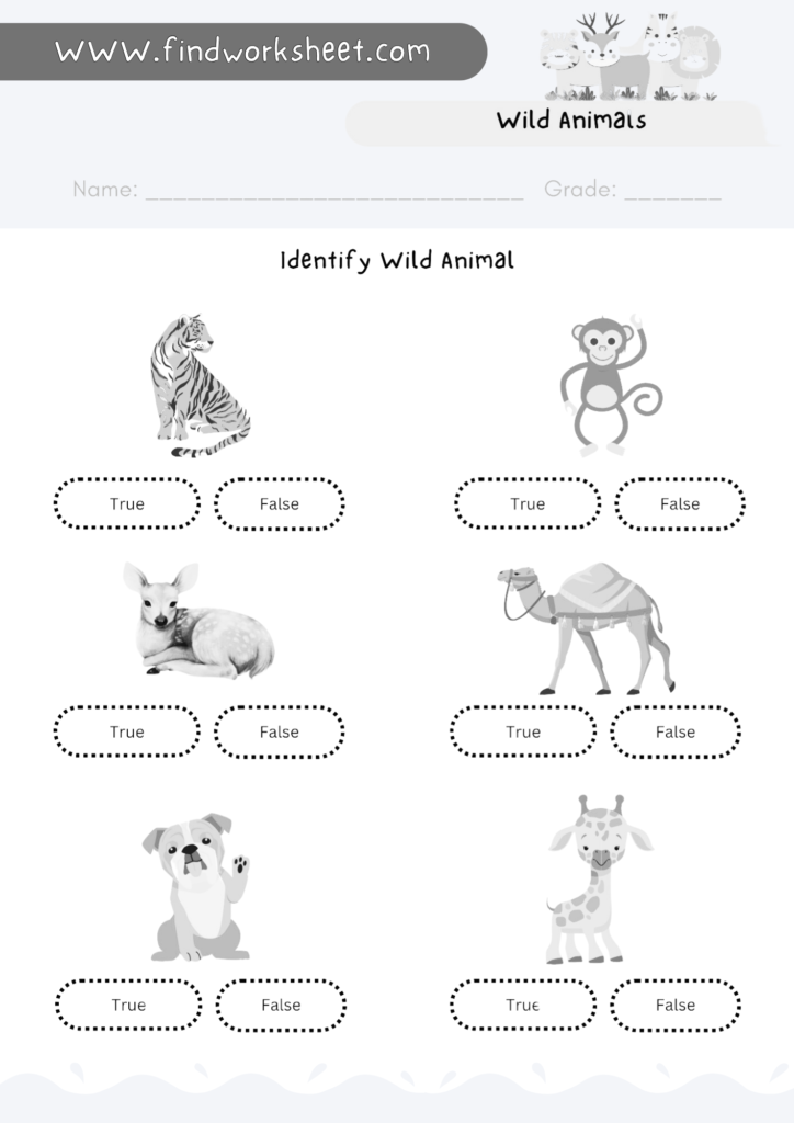 Wild Animals Worksheet- 5 ( Black & White version )