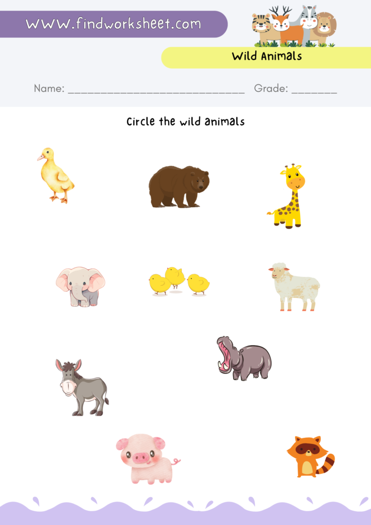 Wild Animals Worksheet - 3 ( Colored version )