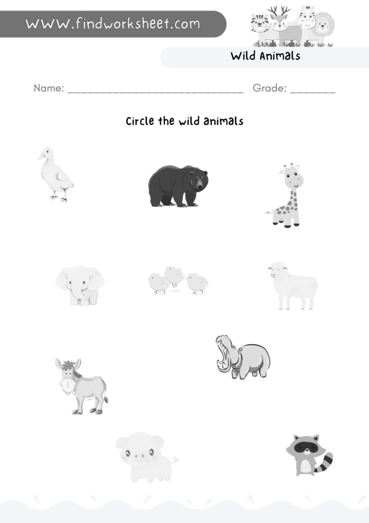 Wild Animals Worksheet - 3 ( Black & White )